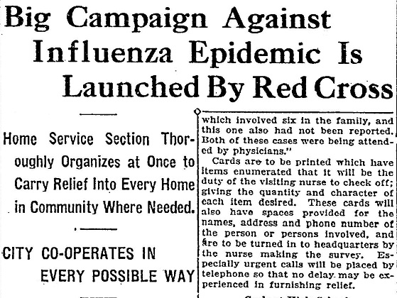 InfluenzaCPDF#2 Idaho_Statesman_published_as_The_Idaho_Daily_Statesman___January_2_1919.jpg